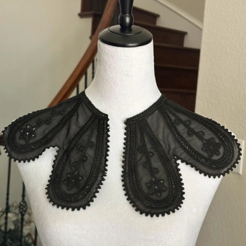 Vintage Embroidered Paisley Petal Collar Black Sheer Mesh Lace Applique Neckline